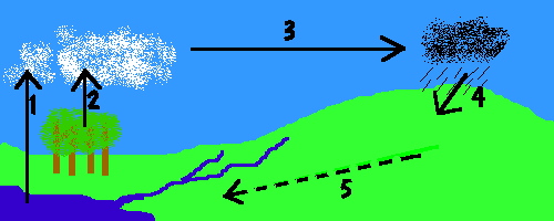 water cycle